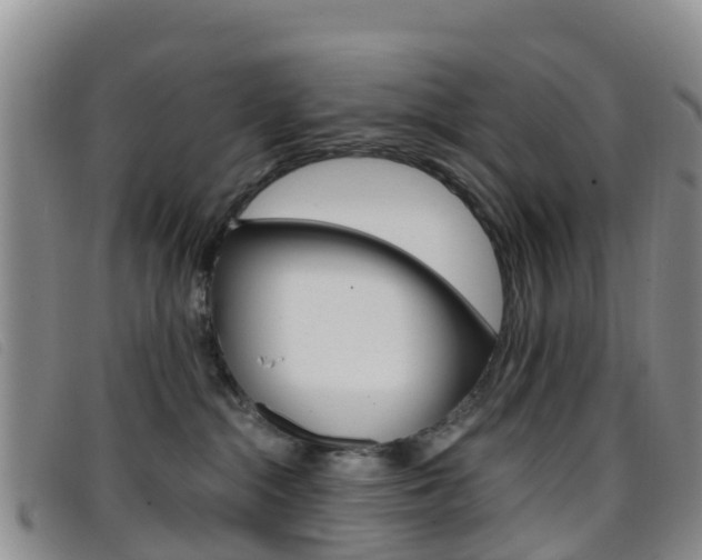 X0000096720284200802051106