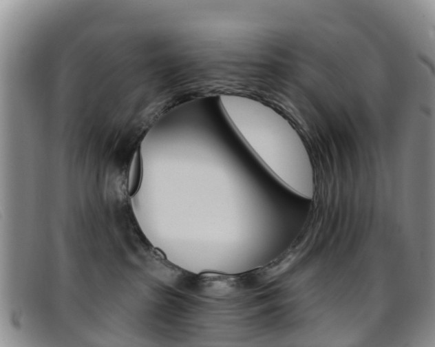 X0000096720285200802051106