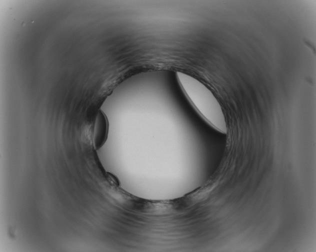 X0000096720286200802051106