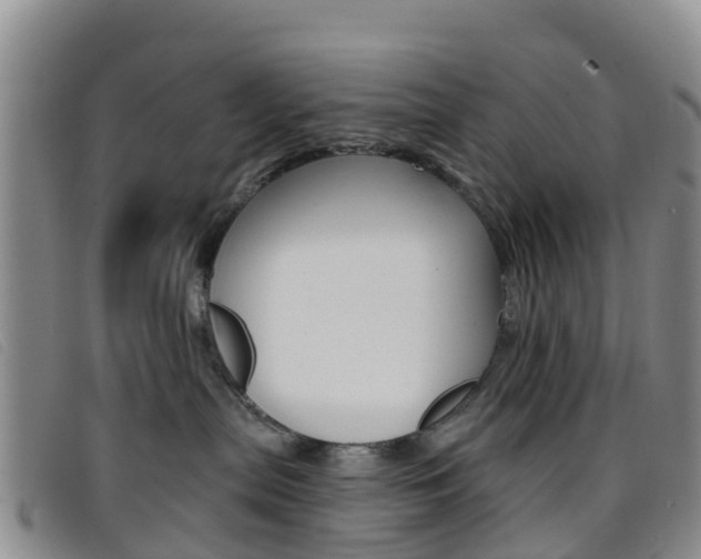X0000096720287200802051107