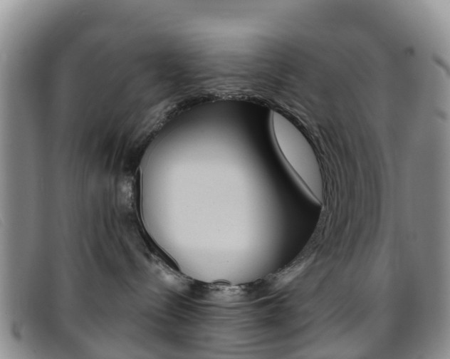 X0000096720288200802051107