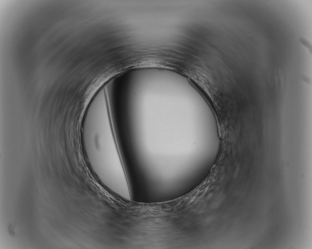 X0000096720289200802051106