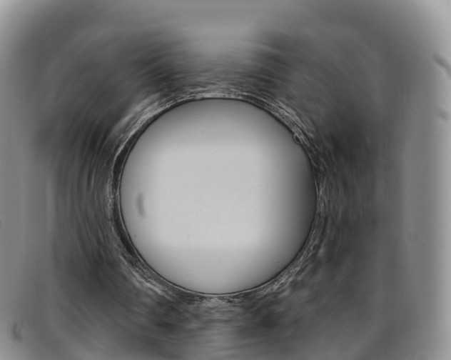 X0000096720290200802051106