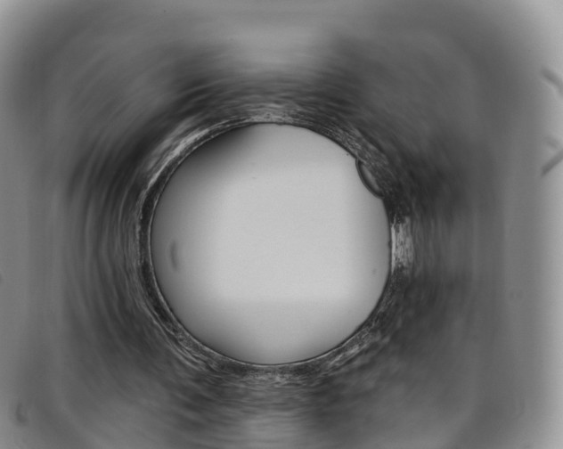 X0000096720291200802051106