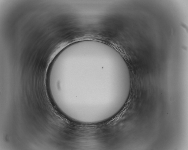 X0000096720292200802051106