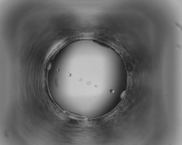 X0000096720293200802051106