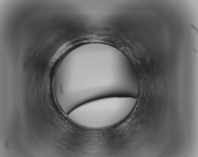 X0000096720295200802051106