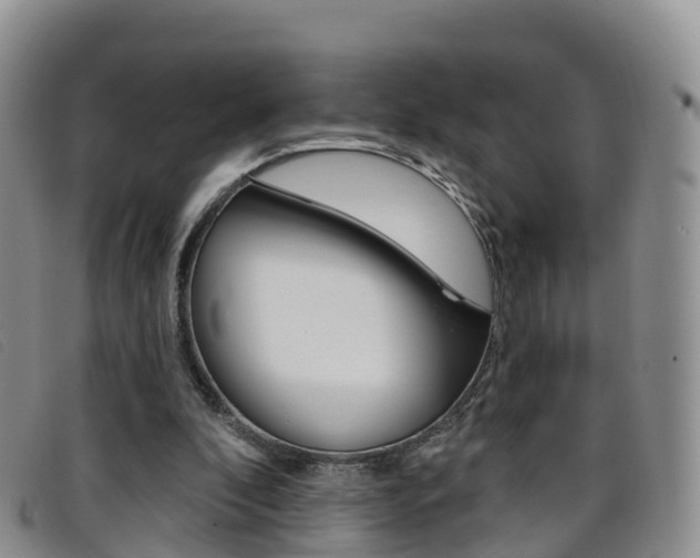 X0000096720296200802051106
