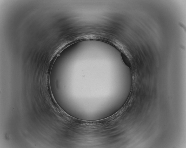 X0000096720297200802051106