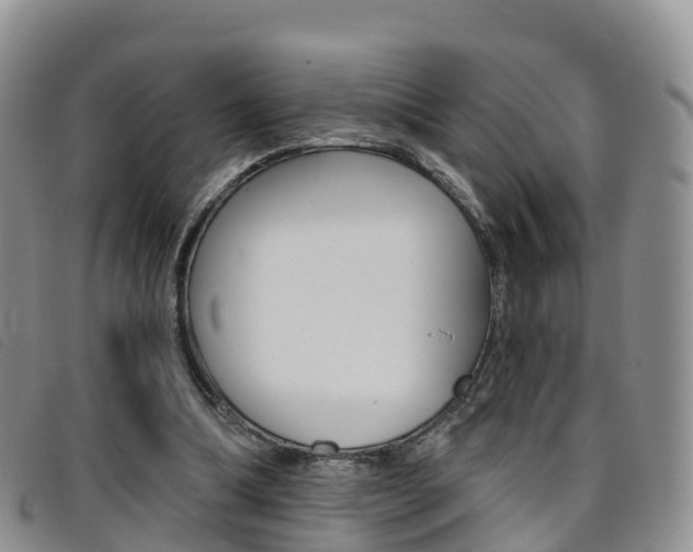 X0000096720298200802051106