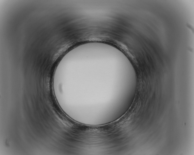 X0000096720299200802051106