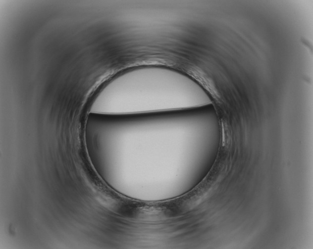 X0000096720300200802051106