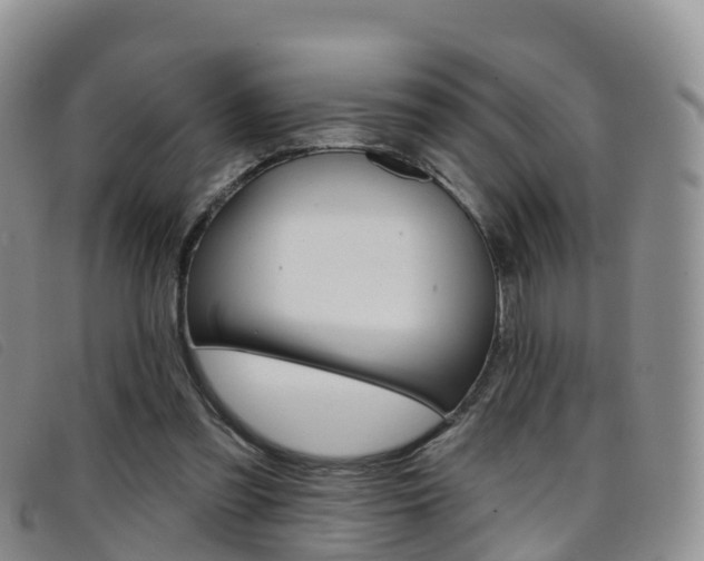 X0000096720301200802051106