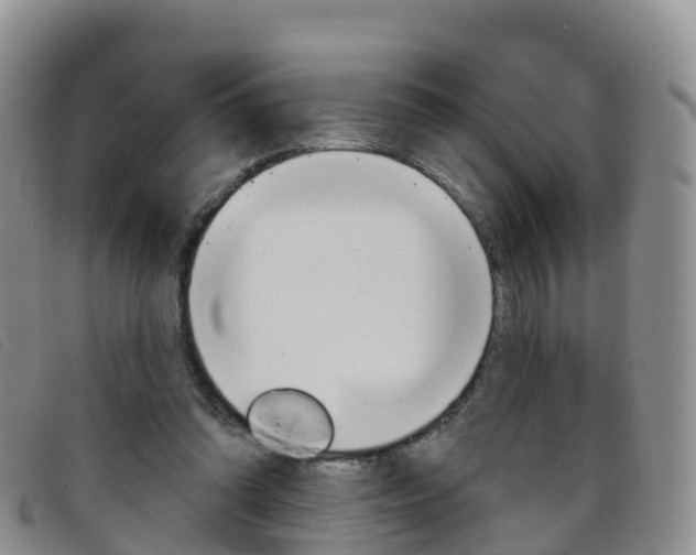 X0000096720302200802051106