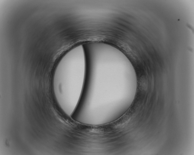 X0000096720303200802051106