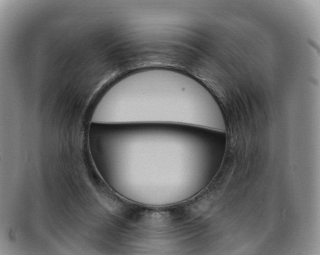 X0000096720304200802051106