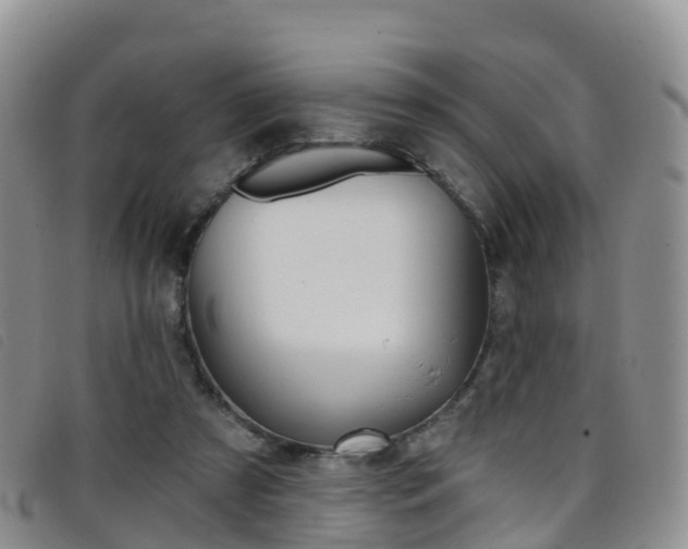 X0000096720305200802051106