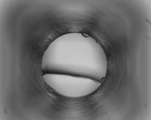 X0000096720307200802051106