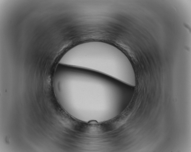 X0000096720308200802051106