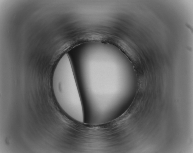 X0000096720309200802051106