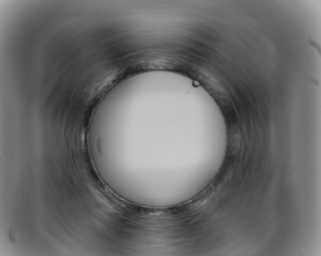 X0000096720310200802051106