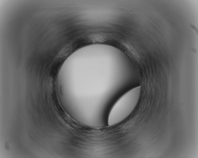 X0000096720311200802051106