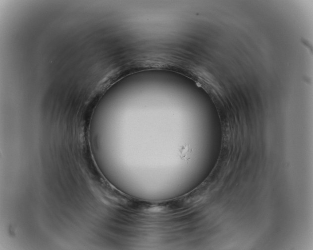 X0000096720312200802051106