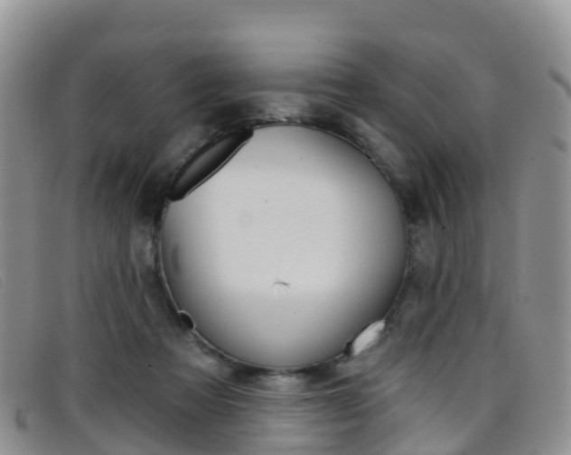 X0000096720313200802051106