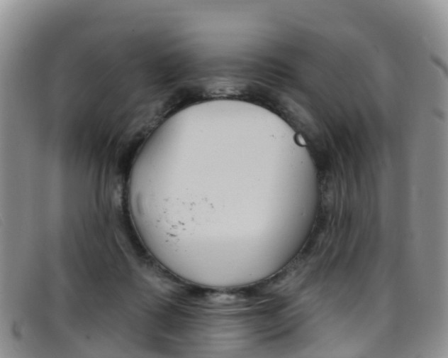 X0000096720315200802051105
