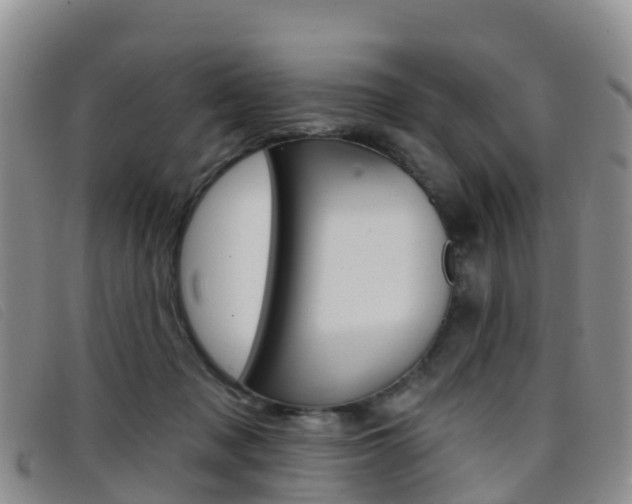 X0000096720317200802051105