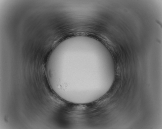 X0000096720318200802051105