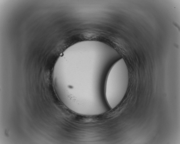 X0000096720319200802051105