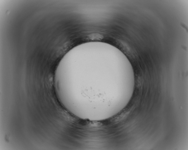 X0000096720321200802051105