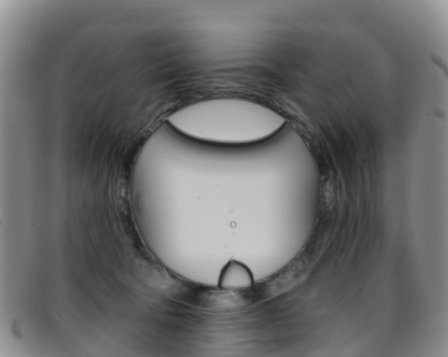 X0000096720322200802051105