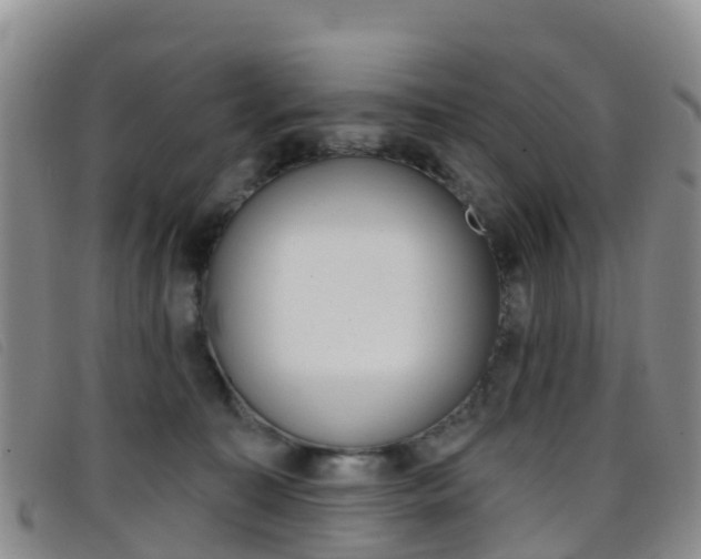 X0000096720323200802051105