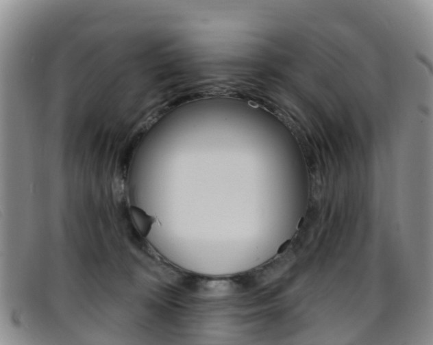X0000096720324200802051105