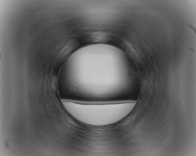X0000096720325200802051105