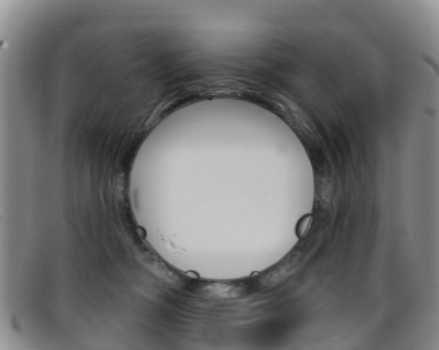 X0000096720326200802051105