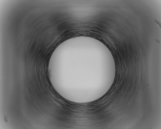 X0000096720328200802051105