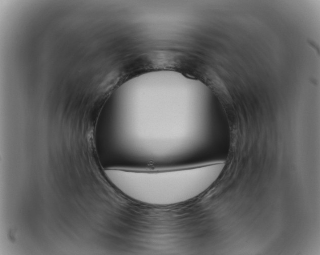 X0000096720329200802051105