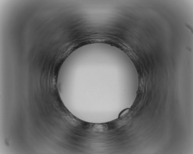 X0000096720330200802051105