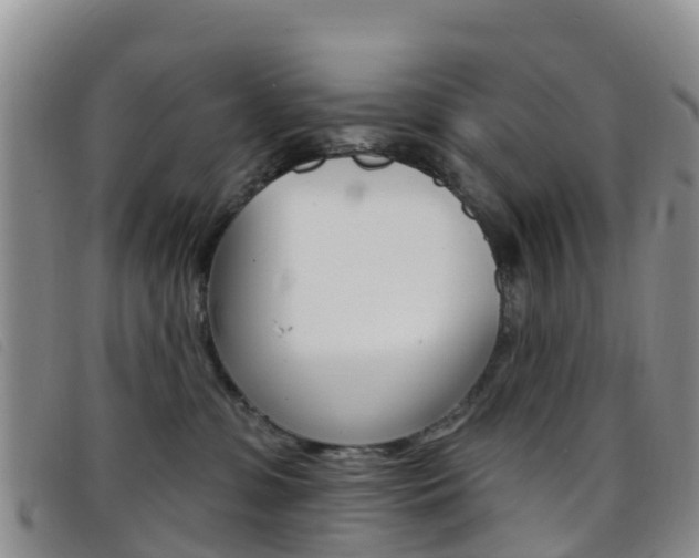 X0000096720331200802051105
