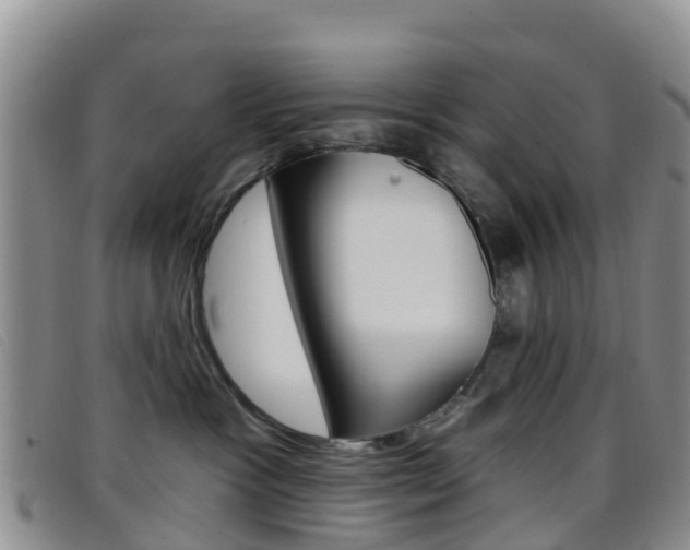 X0000096720333200802051105