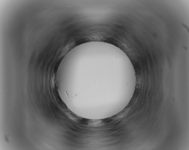 X0000096720334200802051105
