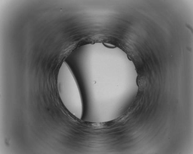 X0000096720335200802051105