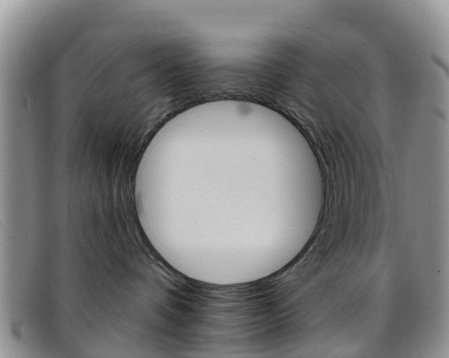 X0000096720336200802051105