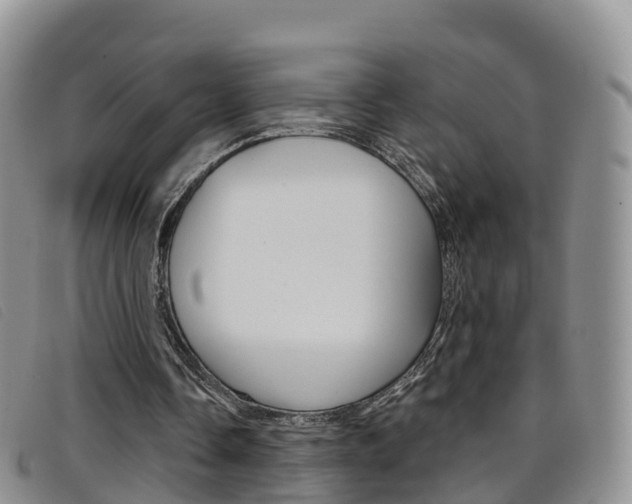X0000096720338200802051105