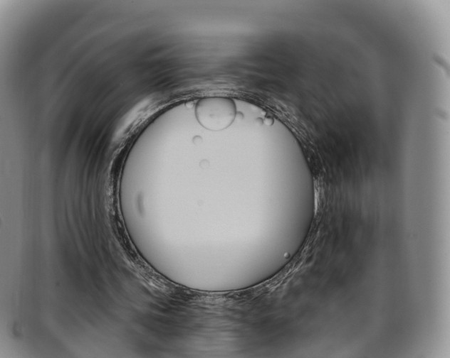 X0000096720339200802051105