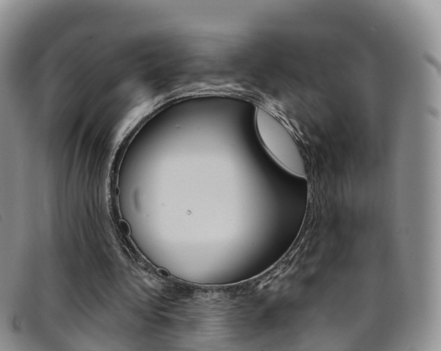 X0000096720340200802051105