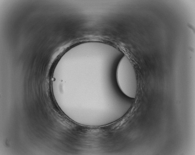X0000096720342200802051105